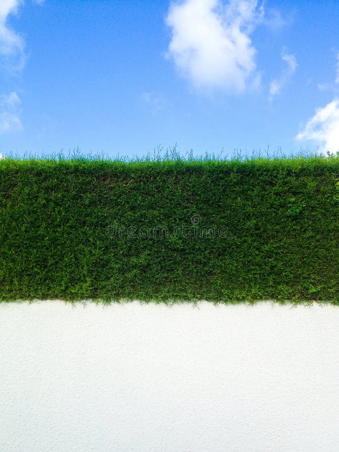 Decorative Green Fence on a White Wall and Blue Sky Stock Image Image