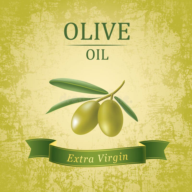 Decorative olive branch. Vector olive oil.