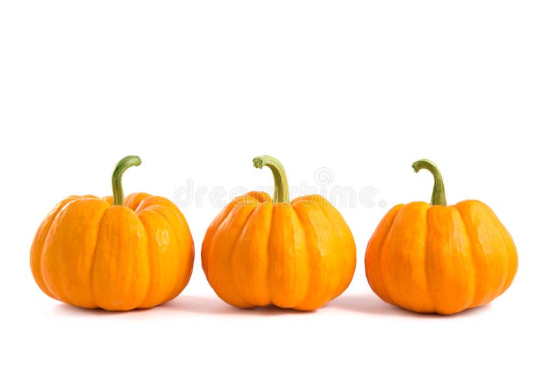 Decorative orange pumpkins