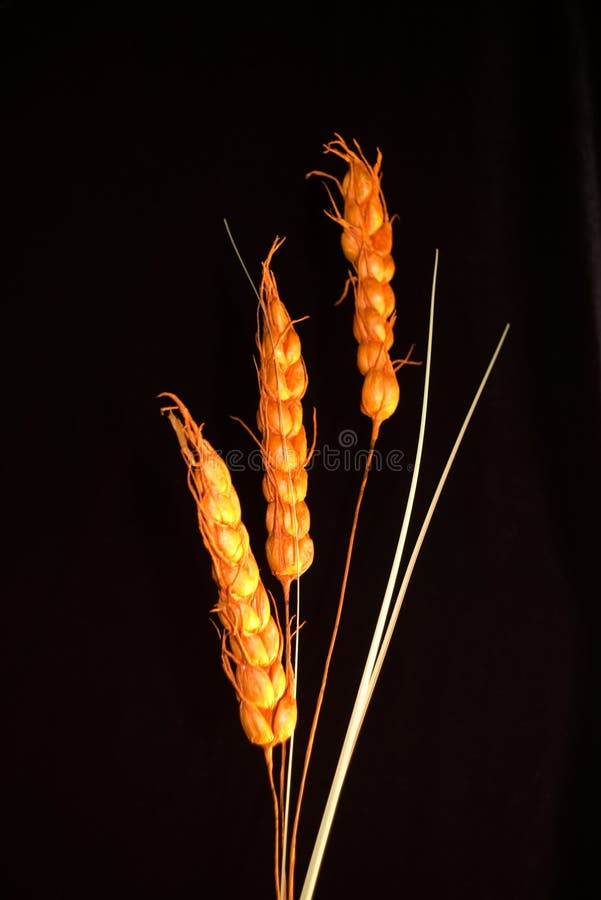 Decorative ornament from three grain cereals