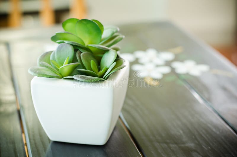 Decorative plant stock photo. Image of vase, artificial 51114448
