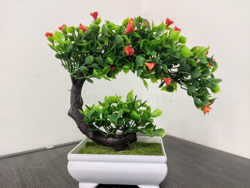 Decorative Plants. Made of Plastic Stock Image Image of plants