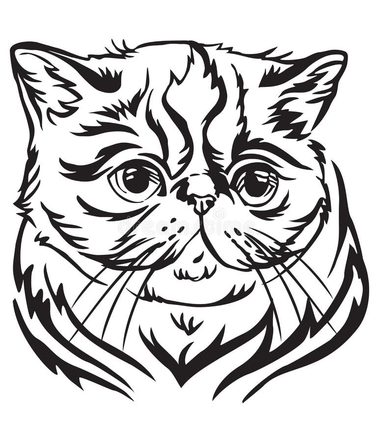 Download Decorative Portrait Of Exotic Shorthair Cat Vector Illustration Stock Vector - Illustration of ...