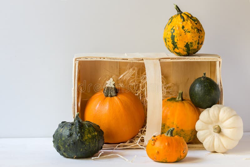 Decorative Pumpkins in a Box, Halloween, Close-up, Harvesting, Vertical ...