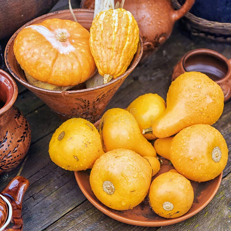 Decorative pumpkins in clay bowl royalty free stock photo Decorative pumpkins in clay bowl royalty free stock photo
