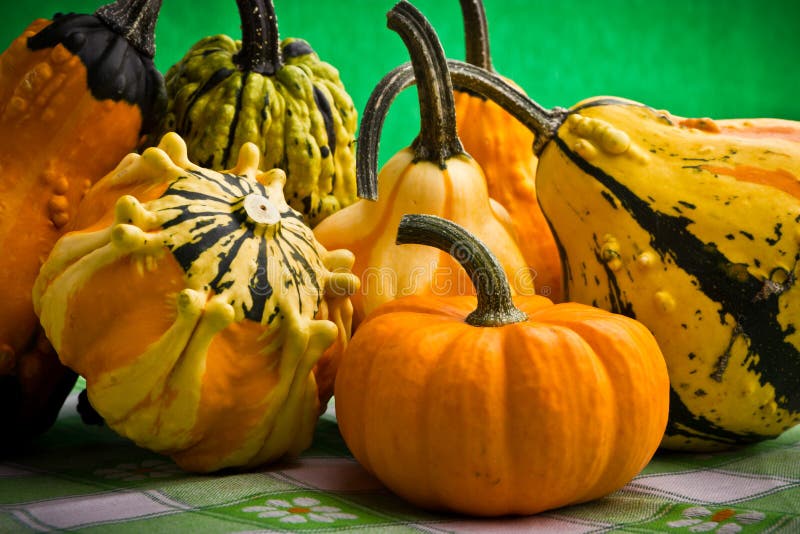 Decorative Pumpkins Squash Fruits Stock Photo Image of background