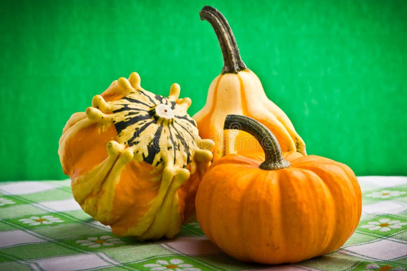 Decorative Pumpkins Squash Fruits Stock Image Image of decoration