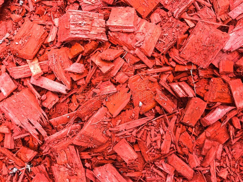 Decorative Red Chips Bark of Trees Stock Photo Image of design