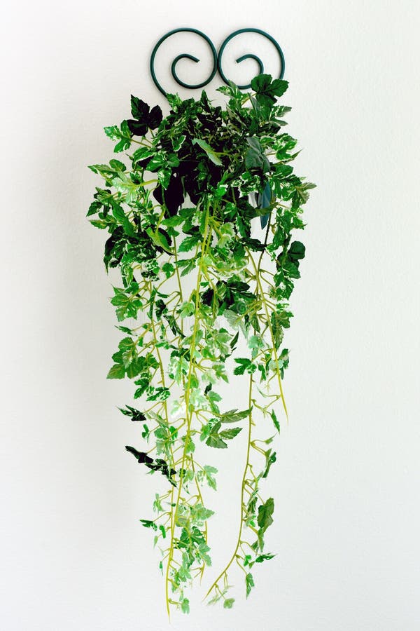 Decorative sconce on wall with artificial plant stock images