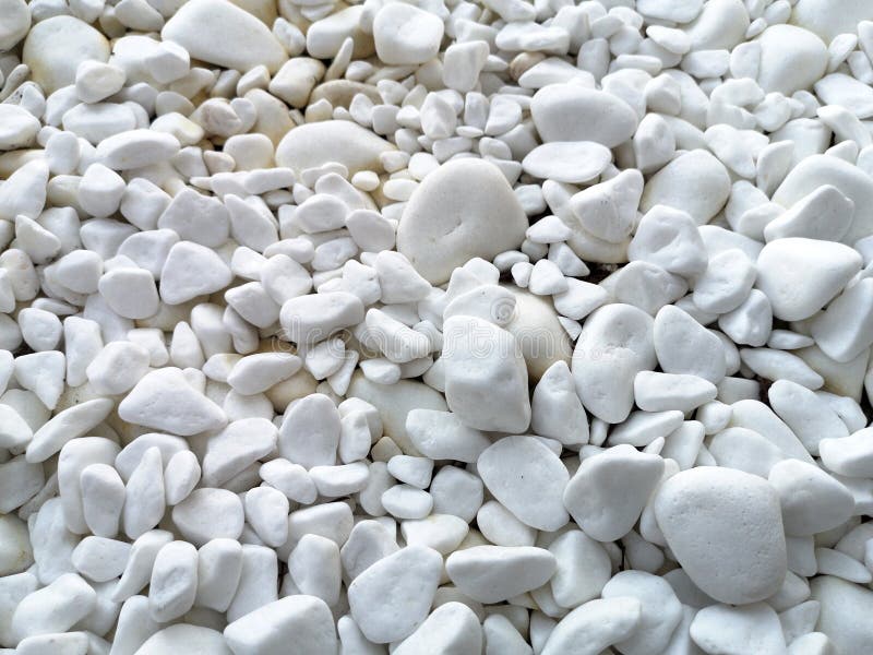 Decorative Small White Pebbles Stone Stock Photo Image of detail
