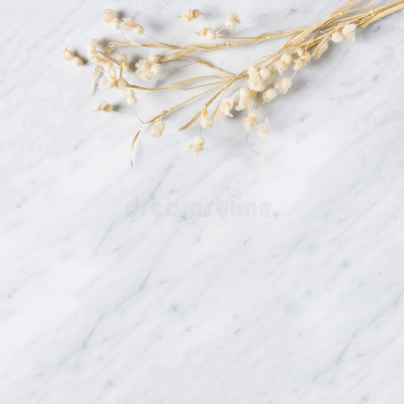 Decorative straw branches on marble kitchen top stock image