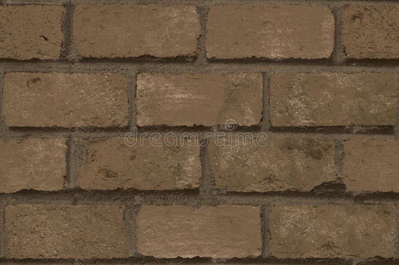 Decorative Tile Design for Wall and Floor Designe for Your Home and