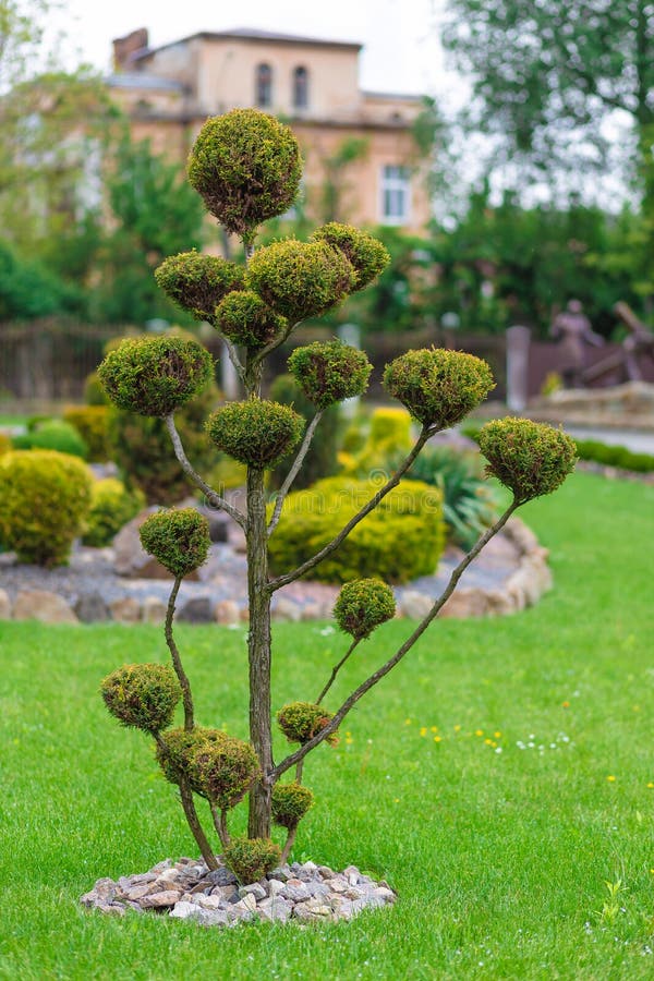 Decorative Tree Decorative Tree