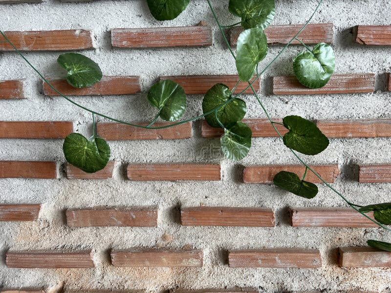 Decorative wall with green leaves royalty free stock photos