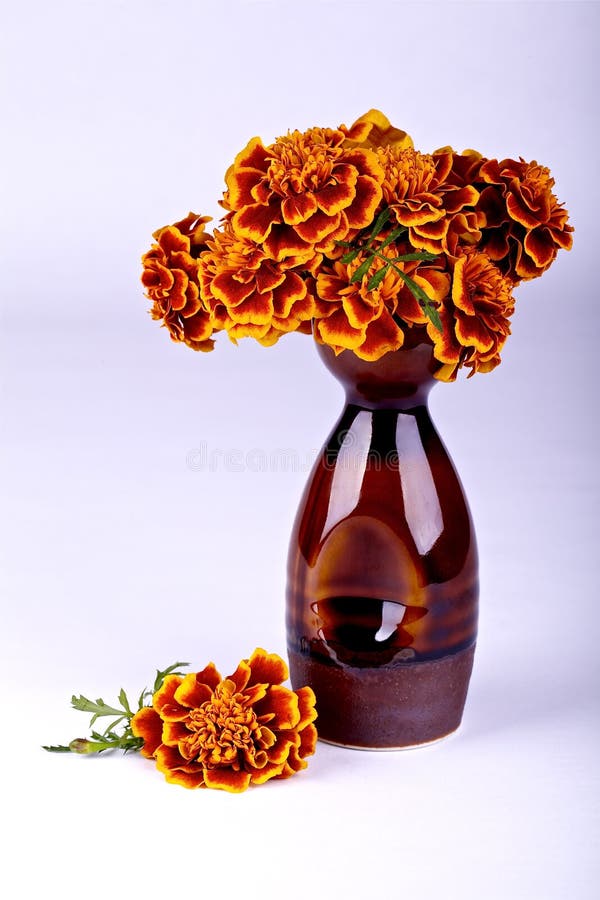 Decorazione di autunno fotografie stock libere da diritti Decorazione di autunno fotografie stock libere da diritti