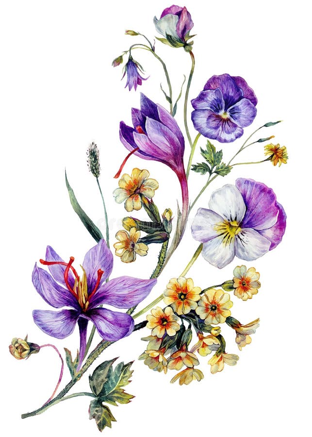 Decorazione floreale di colore acquatico estratta a mano isolata su bianco illustrazione di stock