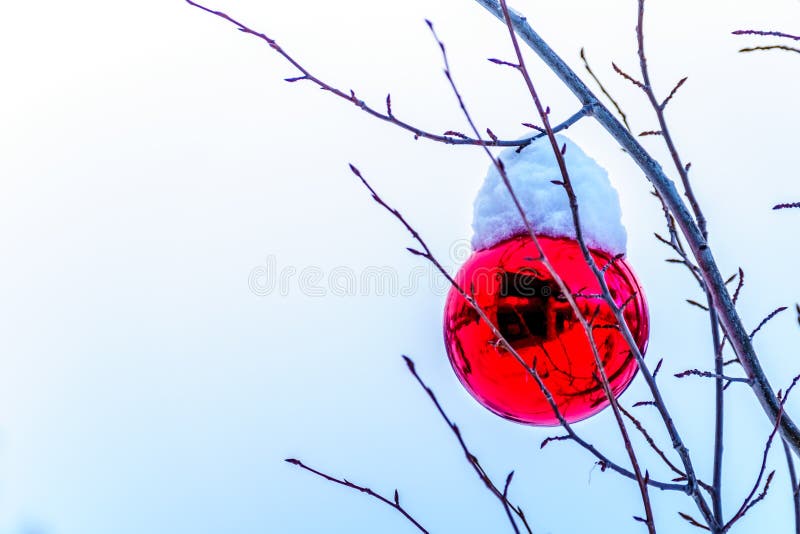 Decorazione rossa innevata di Natale che appende sui rami di albero di un albero immagine stock libera da diritti Decorazione rossa innevata di Natale che appende sui rami di albero di un albero immagine stock libera da diritti