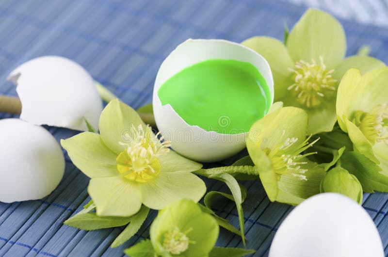 A decoração colorida da Páscoa com shell de ovo encheu-se com a pintura e o hellebore verdes da pintura à têmpera imagens de stock A decoração colorida da Páscoa com shell de ovo encheu-se com a pintura e o hellebore verdes da pintura à têmpera imagens de stock
