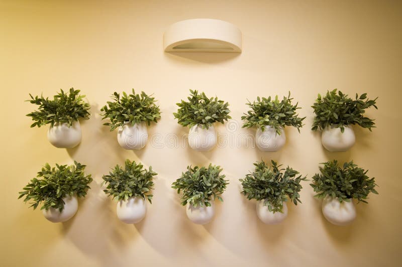 Flower pots with green flowers as wall decoration, a lamp above. Flower pots with green flowers as wall decoration, a lamp above.