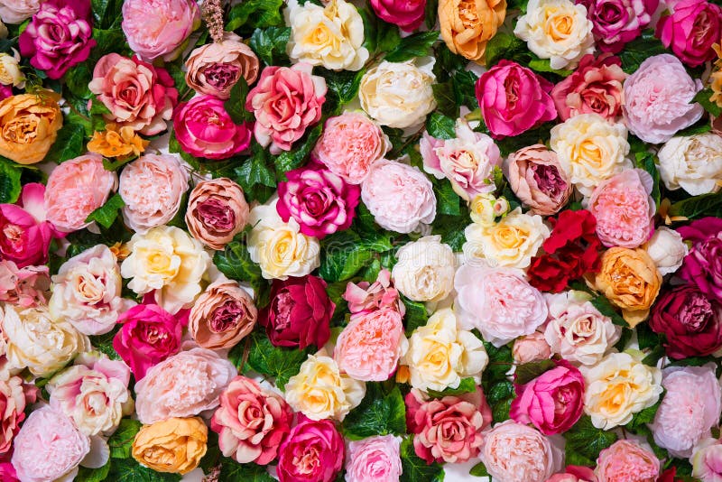 Wedding decoration - close up of flowers wall background with beautiful colorful roses and peonies. Wedding decoration - close up of flowers wall background with beautiful colorful roses and peonies