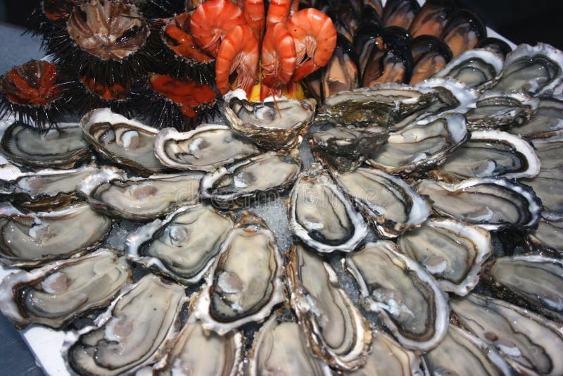 Seafood (oysters, shrimps, sea-urchins, mussels) are decoratively put on ice in a big plate. Seafood (oysters, shrimps, sea-urchins, mussels) are decoratively put on ice in a big plate.