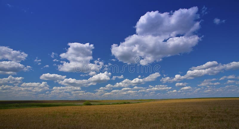 Deep blue sky and white cumulus clouds