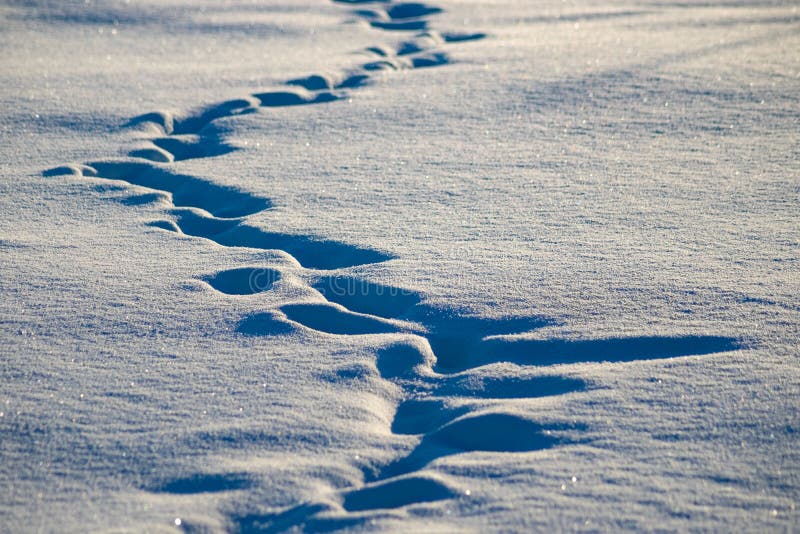 Footprints in the Snow Background Stock Image Image of single