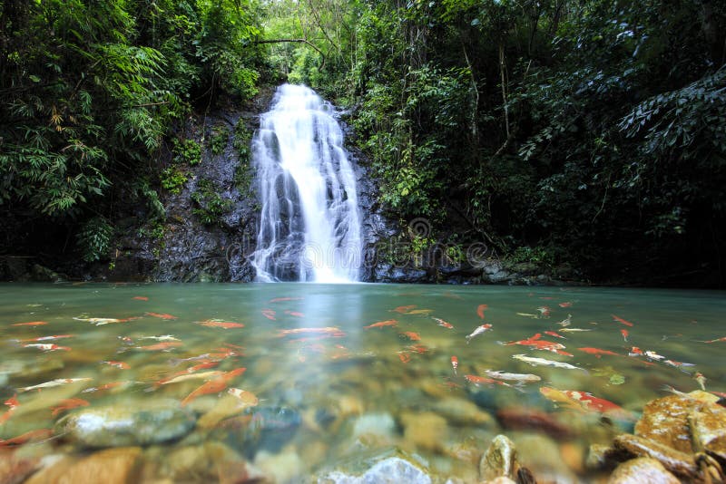 Deep forest Waterfall in Nong Khai, Thailand