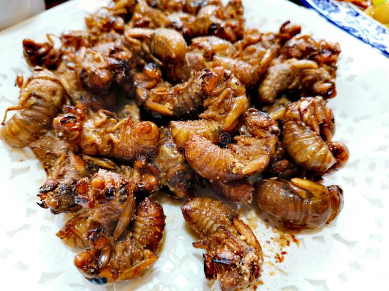 deep-fried-cicadas-nfd-deep-fried-cicadas-chinese-insects-food-146557364.jpg