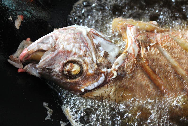 Deep Fried fish in oil stock photo. Image of dish, fresh 50811786