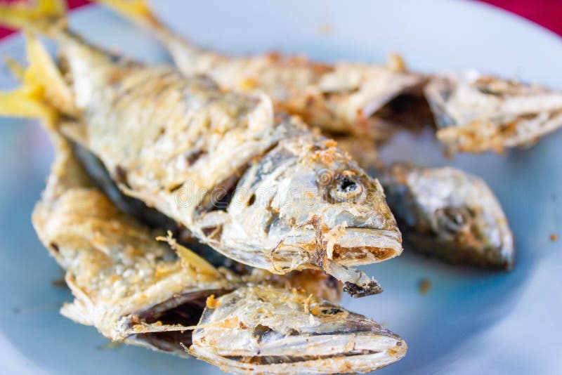 Deep Fried Mackerel on Dish Stock Photo Image of healthy, mackarel