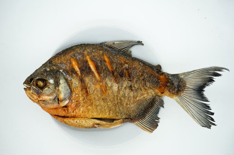 Deep fried pomfret royalty free stock photos Deep fried pomfret royalty free stock photos