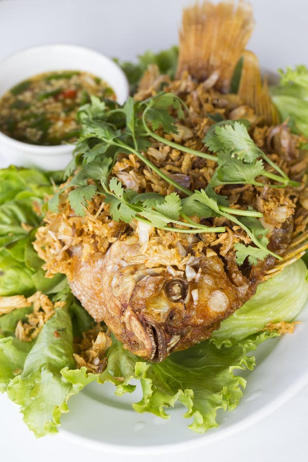 Deep Fried Red Tilapia Fish Stock Photo Image of cook, isolated 33263578