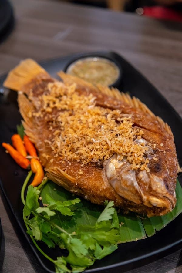 Deep Fried Sea Bass with Deep Fried Garlic on Black Plate Stock Image