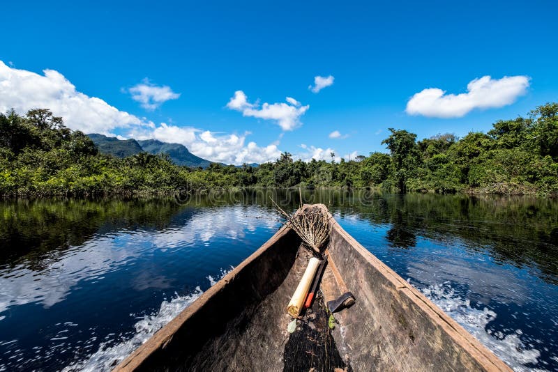 Deep in the Jungle royalty free stock photo
