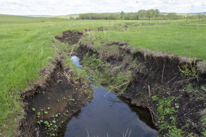 Deep Ravine, Beam in the Meadow. Water Erosion of the Soil Stock Photo