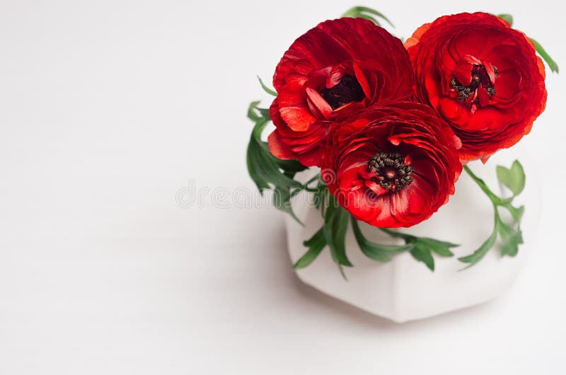 Deep red flower bouquet in elegant vase closeup on white wood background. Festive summer decor for interior. stock image Deep red flower bouquet in elegant vase closeup on white wood background. Festive summer decor for interior. stock image