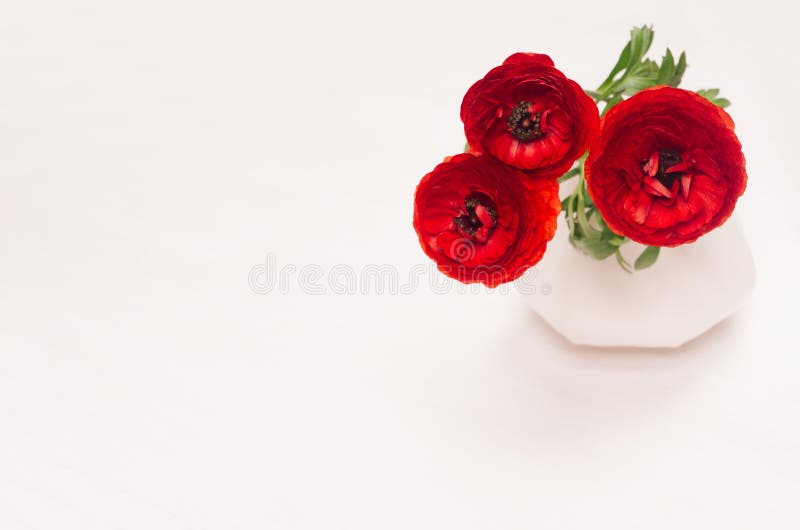 Deep red flower bouquet in vase on white wood background. Festive summer decor for interior. stock image Deep red flower bouquet in vase on white wood background. Festive summer decor for interior. stock image