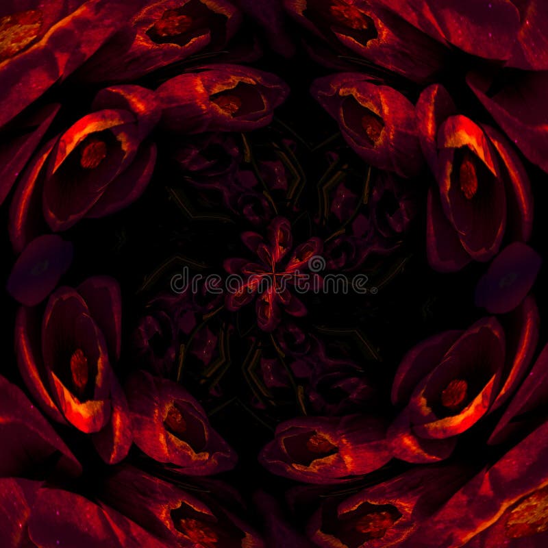 Rose Petals Stock Illustrations – 52,792 Rose Petals Stock Illustrations,  Vectors & Clipart - Dreamstime