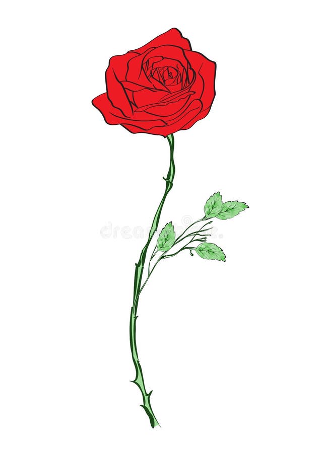 Red rose vector design stock vector. Illustration of flower - 49199258