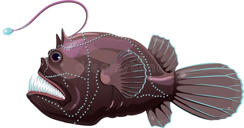 angler fish clipart image