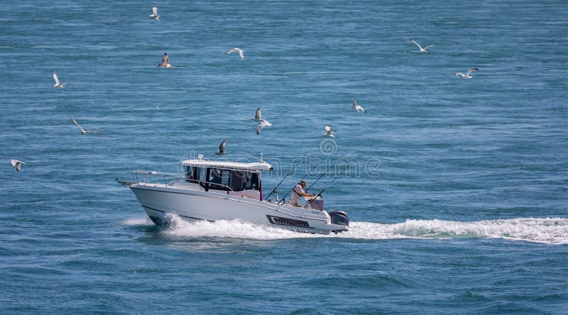 Deep sea fishing charter boat at sea with fishing rods and seagulls following its wake - off Portland, Dorset, UK