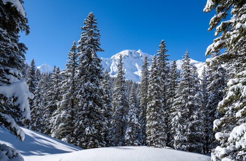 Deep Winter Landscape with Snow-covered Trees and Mountain Peaks ...