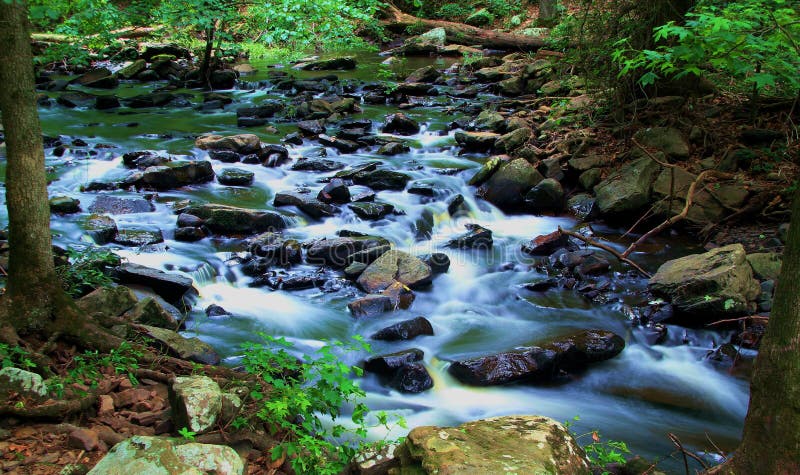 Rocky deep woods stream, deep in the heart of the Ozarks.