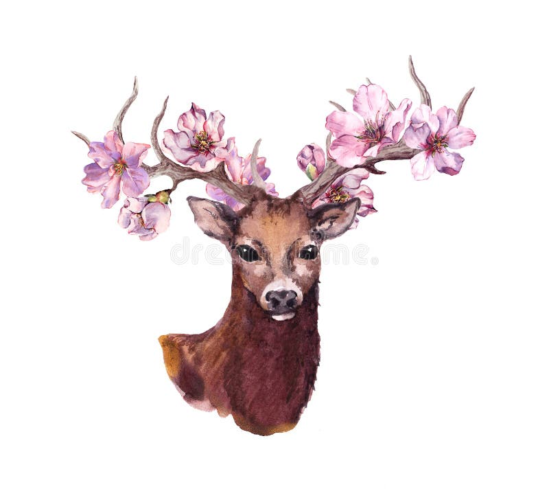 Deer animal head with pink spring cherry blossom flowers in horns. Watercolor