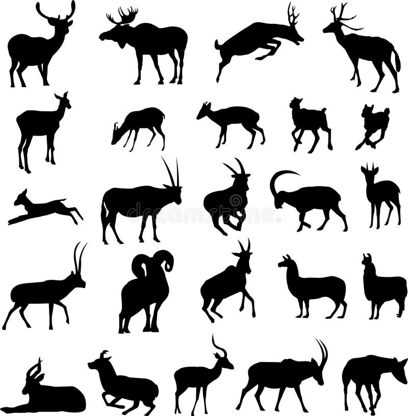 Deer and antelope vector illustration Deer and antelope vector illustration