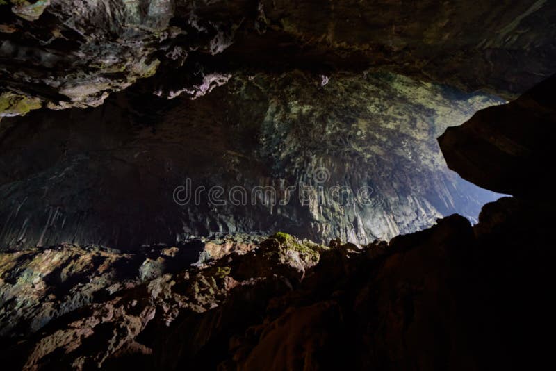 Deer Cave is considered by many to be the top highlight of Mulu National Park.  The entrance area can get as high as 148 m, with some areas as wide as 170 m across. It`s also home to ver 3 million bats!. Deer Cave is considered by many to be the top highlight of Mulu National Park.  The entrance area can get as high as 148 m, with some areas as wide as 170 m across. It`s also home to ver 3 million bats!