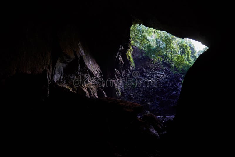 Deer Cave is considered by many to be the top highlight of Mulu National Park.  The entrance area can get as high as 148 m, with some areas as wide as 170 m across. It`s also home to ver 3 million bats!. Deer Cave is considered by many to be the top highlight of Mulu National Park.  The entrance area can get as high as 148 m, with some areas as wide as 170 m across. It`s also home to ver 3 million bats!