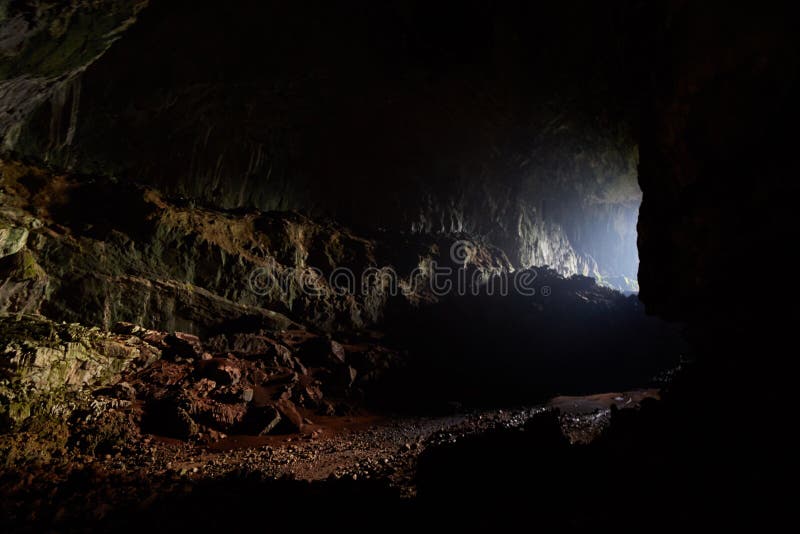 Deer Cave is considered by many to be the top highlight of Mulu National Park.  The entrance area can get as high as 148 m, with some areas as wide as 170 m across. It`s also home to ver 3 million bats!. Deer Cave is considered by many to be the top highlight of Mulu National Park.  The entrance area can get as high as 148 m, with some areas as wide as 170 m across. It`s also home to ver 3 million bats!