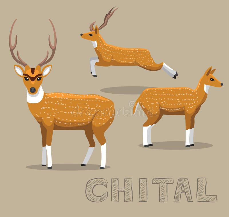 Animal Character EPS10 File Format. Cheetal vectors